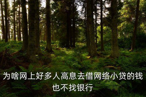 樊三星為什么要去小貸不在銀行，為什么貸款要在銀行交易