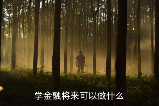 學(xué)金融將來可以做什么