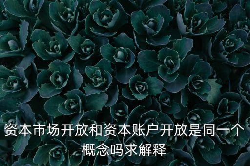 資本賬戶開放是什么意思，account opening是什么意思