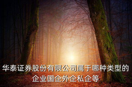 華泰證券股份有限公司屬于哪種類型的企業(yè)國企外企私企等