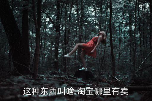 這種東西叫啥 淘寶哪里有賣