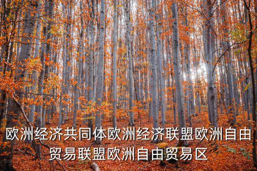 歐洲經(jīng)濟(jì)共同體歐洲經(jīng)濟(jì)聯(lián)盟歐洲自由貿(mào)易聯(lián)盟歐洲自由貿(mào)易區(qū)