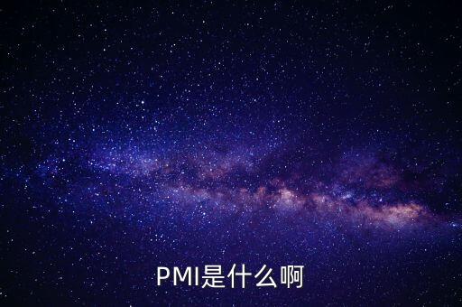 PMI是什么啊
