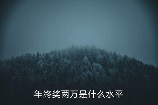 年終獎(jiǎng)10000什么水平，月薪1700年終獎(jiǎng)一萬(wàn)算什么水平