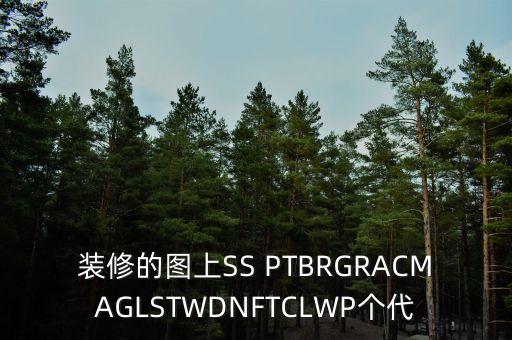 裝修的圖上SS PTBRGRACMAGLSTWDNFTCLWP個代