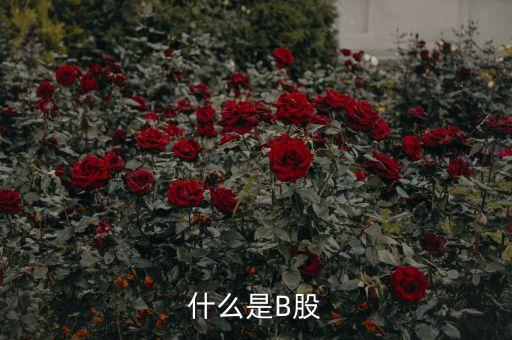 什么是b股股票，什么是B股