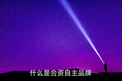 什么是合資自主品牌