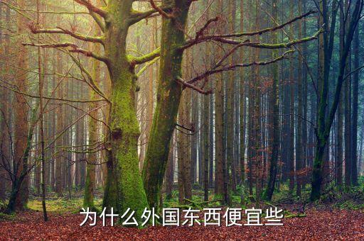 為什么外國(guó)東西便宜些