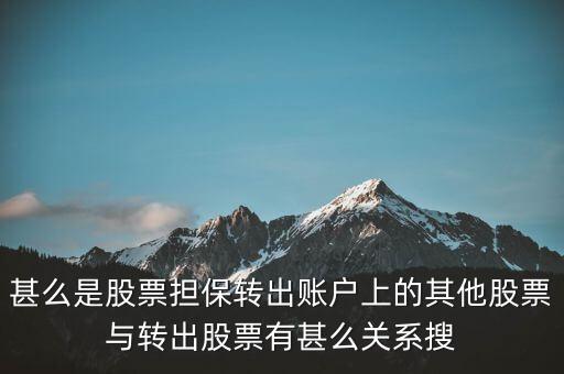 甚么是股票擔(dān)保轉(zhuǎn)出賬戶上的其他股票與轉(zhuǎn)出股票有甚么關(guān)系搜
