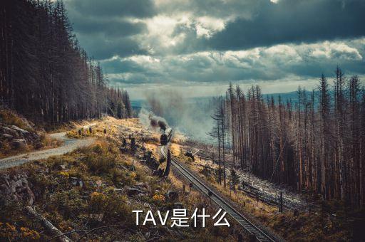 什么是孕線，TAV是什么