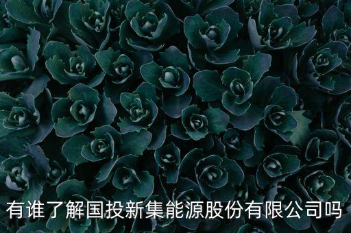 有誰了解國(guó)投新集能源股份有限公司嗎