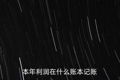 本年利潤在什么賬本記賬