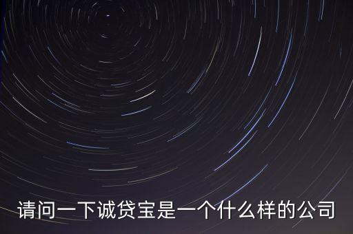 請(qǐng)問(wèn)一下誠(chéng)貸寶是一個(gè)什么樣的公司