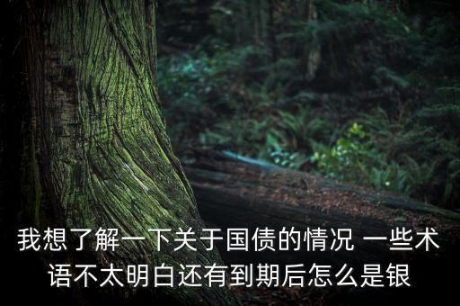 我想了解一下關(guān)于國(guó)債的情況 一些術(shù)語(yǔ)不太明白還有到期后怎么是銀