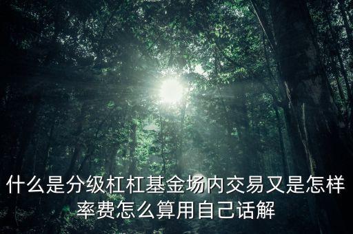 分級(jí)杠桿基金是什么，什么是分級(jí)杠杠基金場(chǎng)內(nèi)交易又是怎樣率費(fèi)怎么算用自己話解