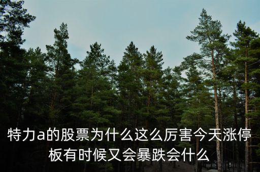 特力a的股票為什么這么厲害今天漲停板有時候又會暴跌會什么