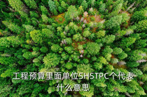 工程預(yù)算里面單位SHSTPC個代表什么意思