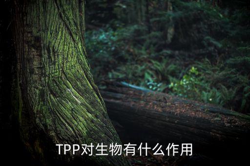 TPP對(duì)生物有什么作用