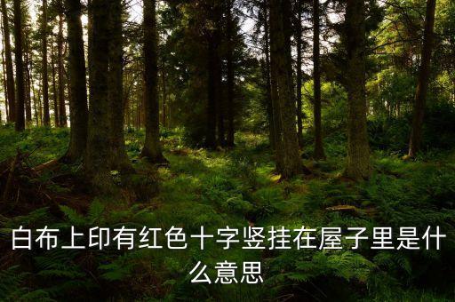 醫(yī)院為什么掛十字，白布上印有紅色十字豎掛在屋子里是什么意思