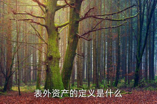 表外不良資產(chǎn)指什么，銀行表外資產(chǎn)的介紹