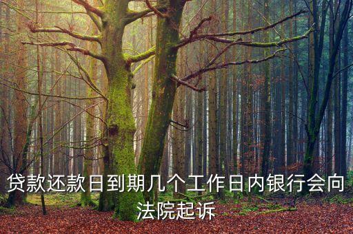 貸款還款日到期幾個(gè)工作日內(nèi)銀行會向法院起訴