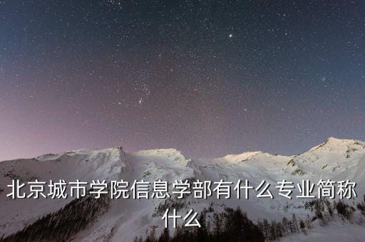 北京城市學(xué)院信息學(xué)部有什么專業(yè)簡稱什么