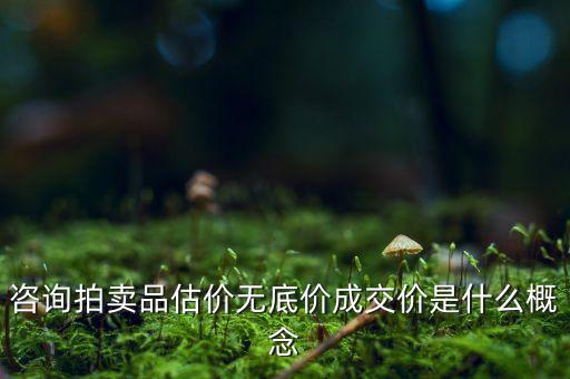 什么叫土地?zé)o底價(jià)拍賣，咨詢拍賣品估價(jià)無底價(jià)成交價(jià)是什么概念