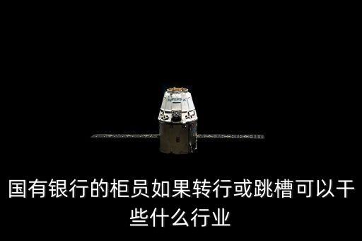 國有銀行的柜員如果轉(zhuǎn)行或跳槽可以干些什么行業(yè)