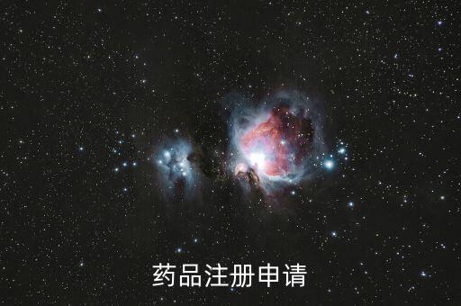 藥品注冊申請