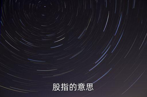 股指是什么意思，股指的意思
