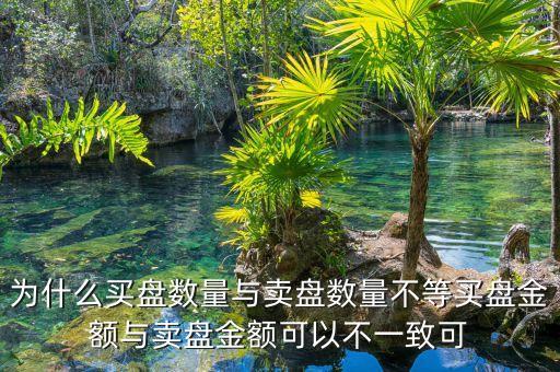為什么買盤數(shù)量與賣盤數(shù)量不等買盤金額與賣盤金額可以不一致可