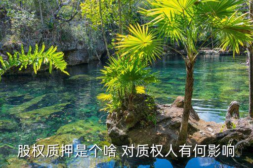 股權(quán)質(zhì)押是個(gè)啥 對質(zhì)權(quán)人有何影響