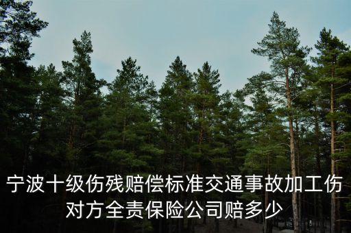 寧波十級(jí)傷殘賠償標(biāo)準(zhǔn)交通事故加工傷對(duì)方全責(zé)保險(xiǎn)公司賠多少