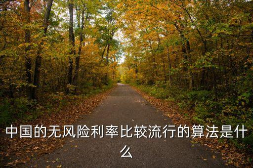 中國的無風(fēng)險利率比較流行的算法是什么