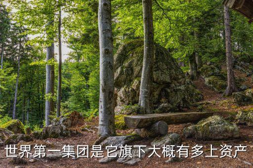世界第一集團(tuán)是它旗下大概有多上資產(chǎn)