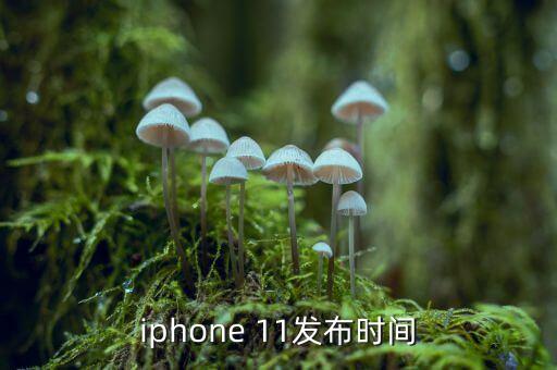 科11什么時候上市，iphone 11發(fā)布時間
