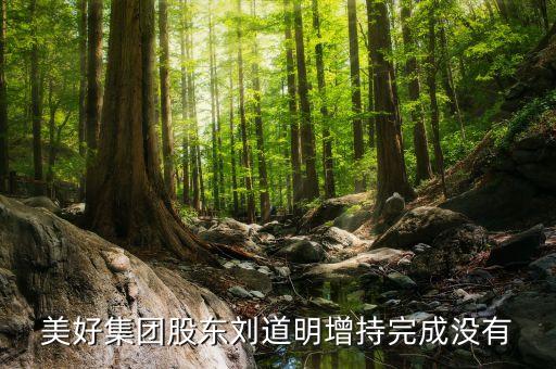 美好集團(tuán)股東劉道明增持完成沒有