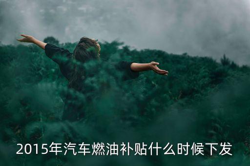 凱迪什么時(shí)候給燃料款，凱迪電廠欠燃料款不給怎么辦堵廠門(mén)違法嗎