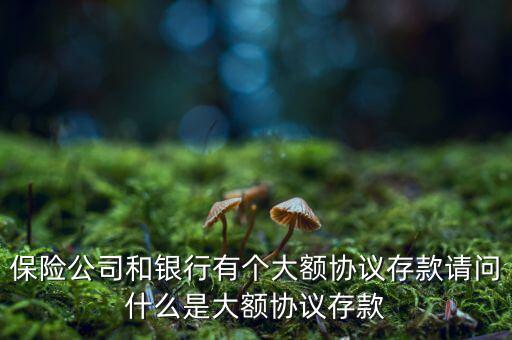 保險公司和銀行有個大額協議存款請問什么是大額協議存款