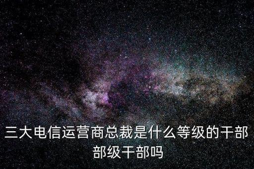 溫冬芬是什么級(jí)別，安徽省天長市市委書記的行政級(jí)別是什么