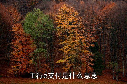工行e支付是什么意思