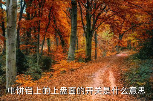 什么是盤面，電餅鐺上的上盤面的開關(guān)是什么意思