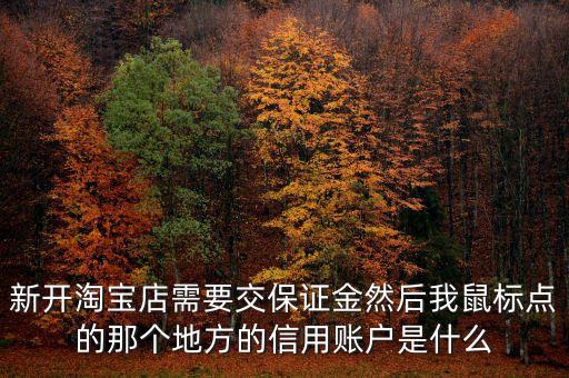 新開淘寶店需要交保證金然后我鼠標點的那個地方的信用賬戶是什么