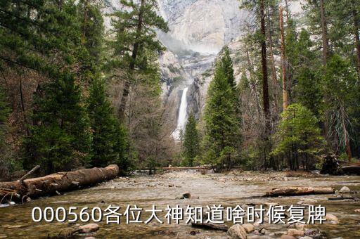 上工申貝什么時候復(fù)牌，請問上海建工什么時候復(fù)牌