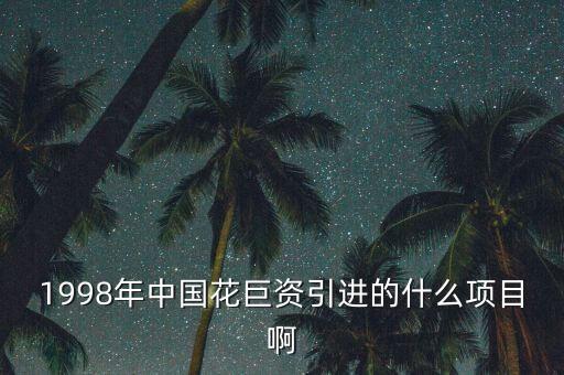 1998年中國(guó)花巨資引進(jìn)的什么項(xiàng)目啊