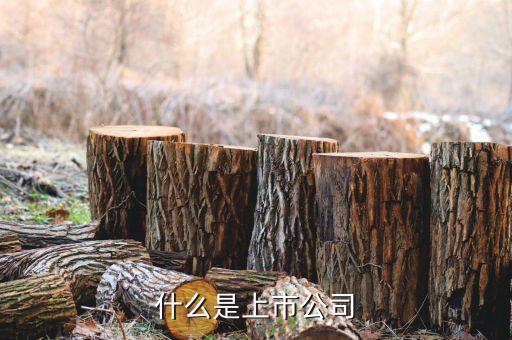 什么是上市公司