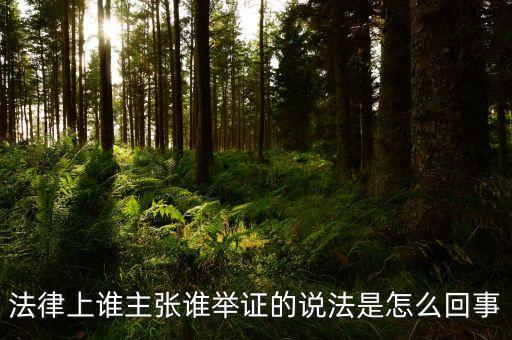 法律上誰(shuí)主張誰(shuí)舉證的說(shuō)法是怎么回事