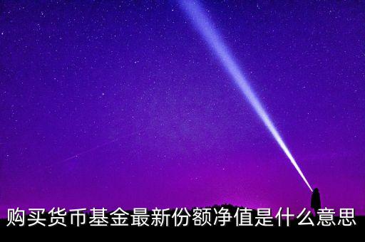 貨幣基金總份額是什么意思，購(gòu)買(mǎi)貨幣基金最新份額凈值是什么意思