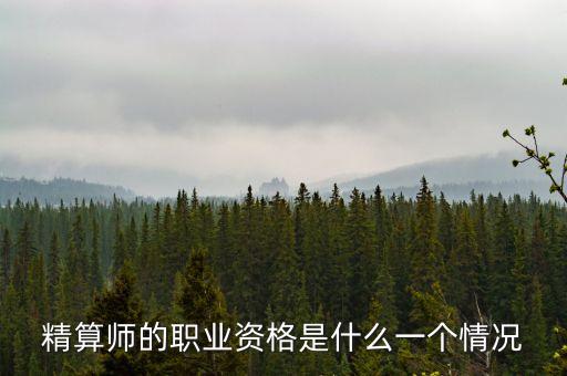精算師的職業(yè)資格是什么一個(gè)情況