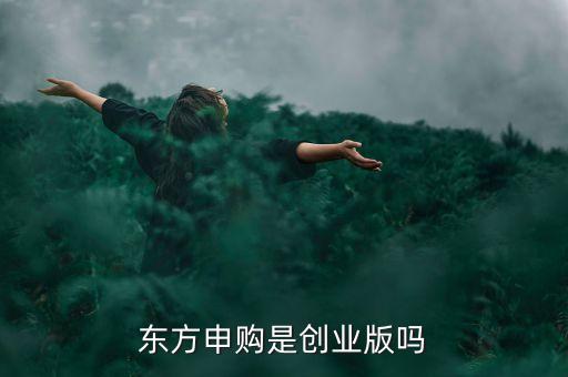 東方申購(gòu)是創(chuàng)業(yè)版嗎
